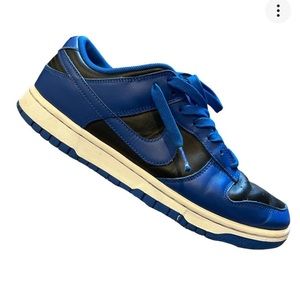 Cobalt Nike dunks